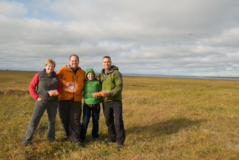 Core berry team on the tundra with the fruits of our labor. Pictured left to right: Drs. Courtney Flint, Josh Kellogg, Mary Ann Lila, and Gary Ferguson. Photo credit: Joshua J. Kellogg.