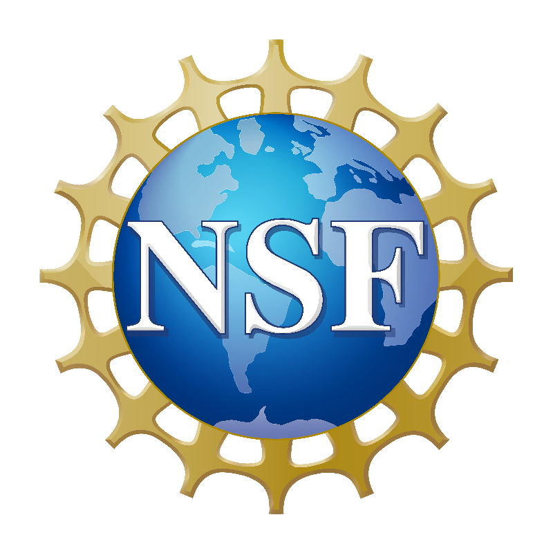 NSF_Official_logo NSF_Official_logo